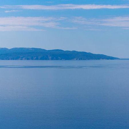 Orchidea Apartment Rijeka Dış mekan fotoğraf